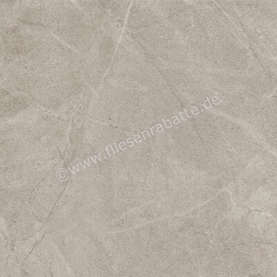 Imola Ceramica Blue Savoy Beige B 60x60 cm Bodenfliese / Wandfliese Matt Strukturiert Naturale BLSV 60B RM | 433642