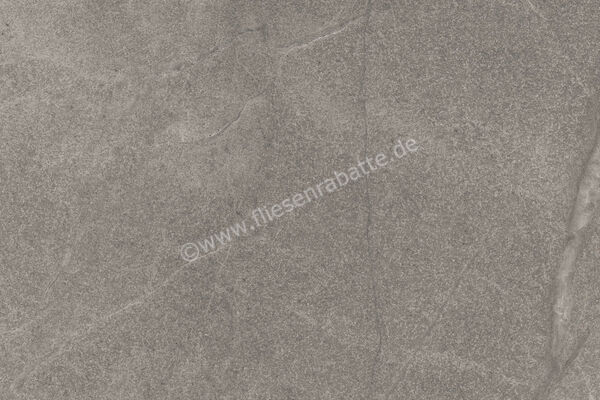  Imola Ceramica Blue Savoy Grey G 40x60 cm Bodenfliese / Wandfliese Matt Strukturiert Naturale BLSV 46G RM (166395) | 433675