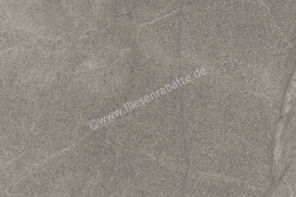 Imola Ceramica Blue Savoy Grey G 40x60 cm Bodenfliese / Wandfliese Matt Strukturiert Naturale BLSV 46G RM | 433675