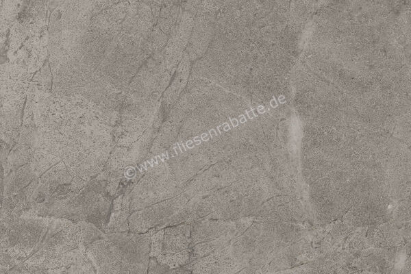 Imola Ceramica Blue Savoy Grey G 40x60 cm Bodenfliese / Wandfliese Matt Strukturiert Naturale BLSV 46G RM | 433681