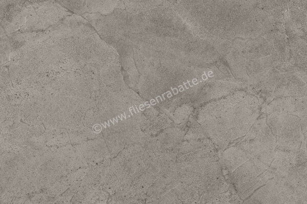 Imola Ceramica Blue Savoy Grey G 40x60 cm Bodenfliese / Wandfliese Matt Strukturiert Naturale BLSV 46G RM | 433684