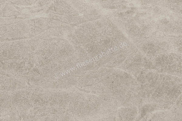  Imola Ceramica Blue Savoy Beige B 40x60 cm Bodenfliese / Wandfliese Matt Strukturiert Naturale BLSV 46B RM (166397) | 433741