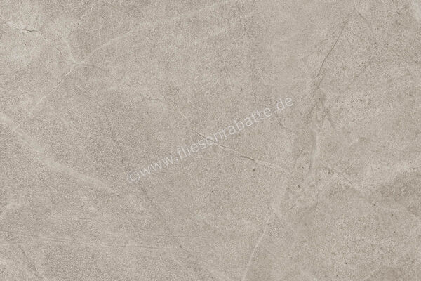  Imola Ceramica Blue Savoy Beige B 40x60 cm Bodenfliese / Wandfliese Matt Strukturiert Naturale BLSV 46B RM (166397) | 433744