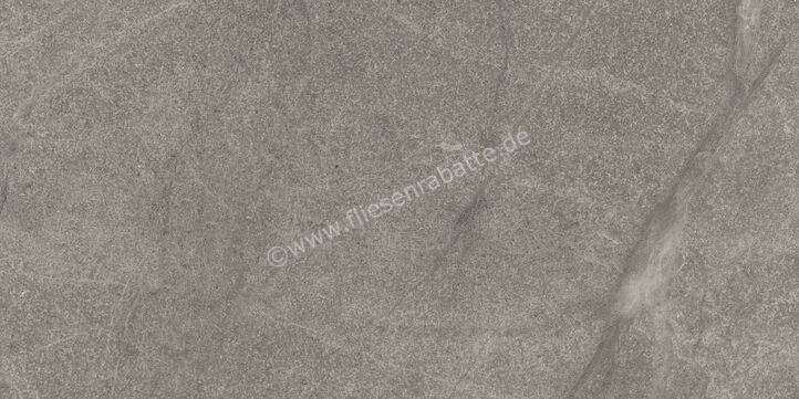 Imola Ceramica Blue Savoy Grey G 30x60 cm Bodenfliese / Wandfliese Matt Strukturiert Naturale BLSV 36G RM | 433774