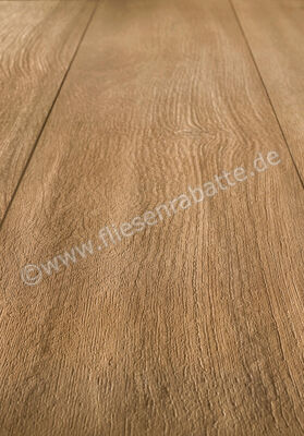  Atlas Concorde Log Amber Oak 20x120 cm Bodenfliese / Wandfliese Mit ID Skin Matt Eben Sensitech AX3E | 434787