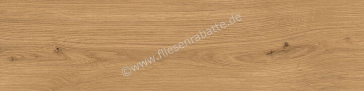 Atlas Concorde Log Outdoor Amber Oak Forest 30x120x2 cm Terrassenplatte Matt Eben Sensitech AX4C | 435810