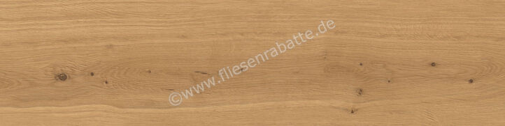 Atlas Concorde Log Outdoor Amber Oak Forest 30x120x2 cm Terrassenplatte Matt Eben Sensitech AX4C | 435819