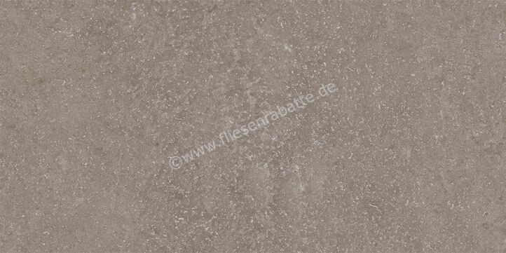 Imola Ceramica Stoncrete Grey G 30x60 cm Bodenfliese / Wandfliese Matt Strukturiert Naturale STCR 36G RM | 437469