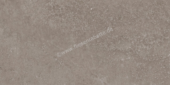 Imola Ceramica Stoncrete Grey G 30x60 cm Bodenfliese / Wandfliese Matt Strukturiert Naturale STCR 36G RM | 437478