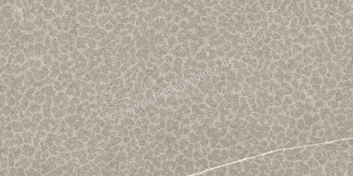 Imola Ceramica The Rock Piasentina 60x120 cm Dekor Matt Eben Naturale PIASEN6 DK12 RM | 441939