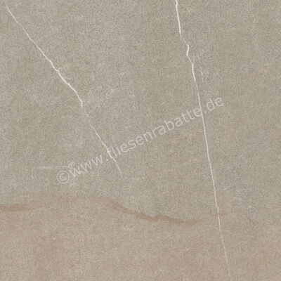  Imola Ceramica The Rock Piasentina 60x60 cm Bodenfliese / Wandfliese Matt Eben Naturale PIASEN 60 RM (184933) | 443463
