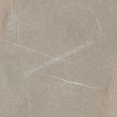 Imola Ceramica The Rock Piasentina 120x120 cm Bodenfliese / Wandfliese 0,65 mm Matt Eben Naturale PIASEN6 120 RM | 443469