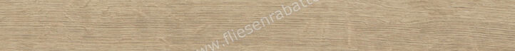  Imola Ceramica Elixir Beige Scuro BS 5x49 cm Bodenfliese / Wandfliese Matt Eben Naturale ELXR6 549BS RM (183341) | 446373