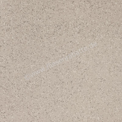 Imola Ceramica Parade Silver AG 120x120 cm Bodenfliese / Wandfliese Matt Eben Naturale PRDE 120AG RM | 446550