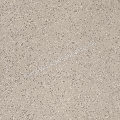 Imola Ceramica Parade Silver AG 120x120 cm Bodenfliese / Wandfliese Matt Eben Naturale PRDE 120AG RM | 446553