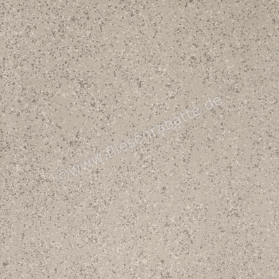 Imola Ceramica Parade Silver AG 120x120 cm Bodenfliese / Wandfliese Matt Eben Naturale PRDE 120AG RM | 446556