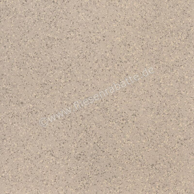 Imola Ceramica Parade Beige B 120x120 cm Bodenfliese / Wandfliese Glänzend Eben Levigato PRDE 120B LV | 446565