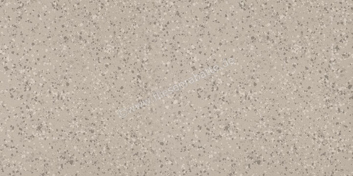 Imola Ceramica Parade Silver AG 60x120 cm Bodenfliese / Wandfliese Glänzend Eben Levigato PRDE 12AG LV | 446649