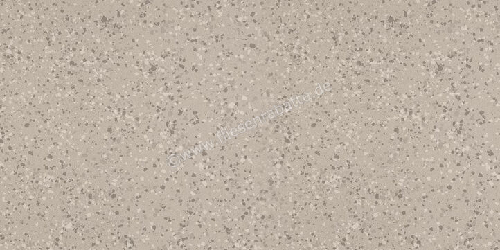 Imola Ceramica Parade Silver AG 60x120 cm Bodenfliese / Wandfliese Glänzend Eben Levigato PRDE 12AG LV | 446652