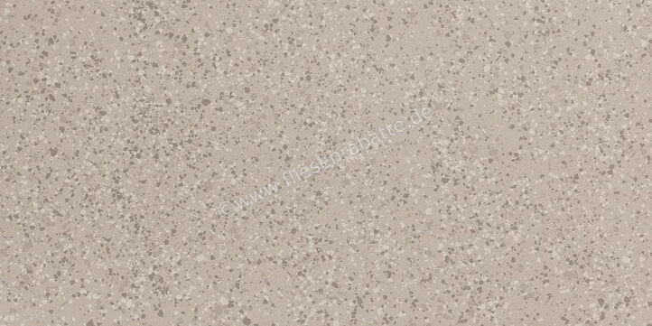 Imola Ceramica Parade Silver AG 60x120 cm Bodenfliese / Wandfliese Glänzend Eben Levigato PRDE 12AG LV | 446655