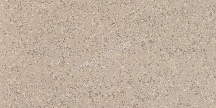 Imola Ceramica Parade Beige B 60x120 cm Bodenfliese / Wandfliese Matt Eben Naturale PRDE 12B RM | 446676