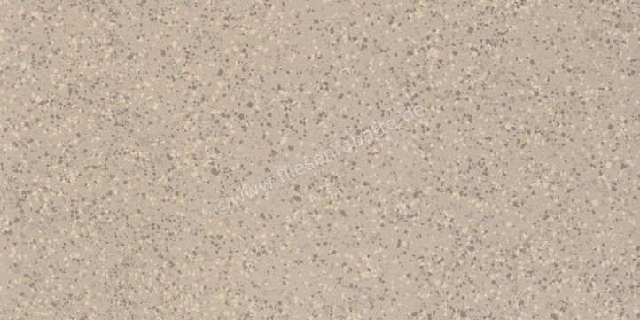 Imola Ceramica Parade Beige B 60x120 cm Bodenfliese / Wandfliese Matt Eben Naturale PRDE 12B RM | 446679