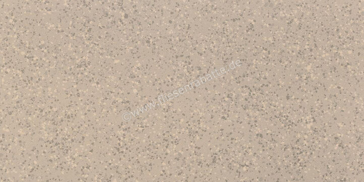 Imola Ceramica Parade Beige B 60x120 cm Bodenfliese / Wandfliese Matt Eben Naturale PRDE 12B RM | 446682