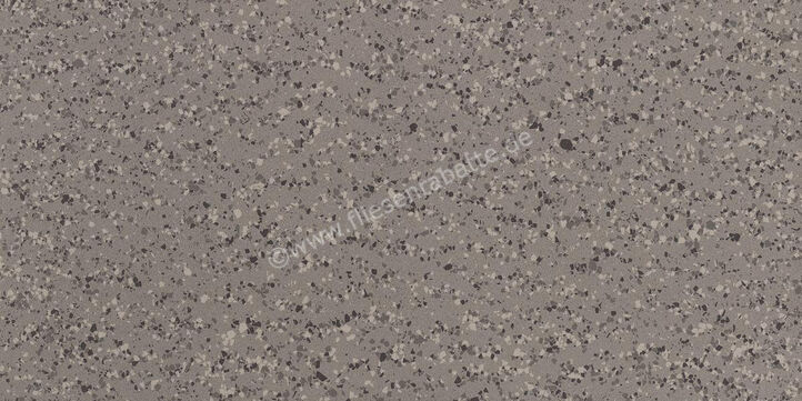 Imola Ceramica Parade Grey G 60x120 cm Bodenfliese / Wandfliese Glänzend Eben Levigato PRDE 12G LV | 446706