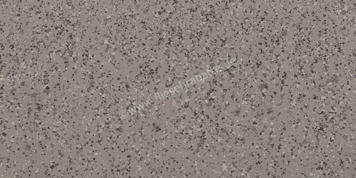 Imola Ceramica Parade Grey G 60x120 cm Bodenfliese / Wandfliese Glänzend Eben Levigato PRDE 12G LV | 446709