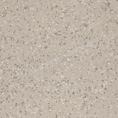 Imola Ceramica Parade Silver AG 60x60 cm Bodenfliese / Wandfliese Glänzend Eben Levigato PRDE 60AG LV | 446757