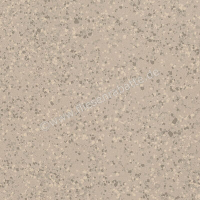 Imola Ceramica Parade Beige B 60x60 cm Bodenfliese / Wandfliese Matt Eben Naturale PRDE 60B RM | 446775