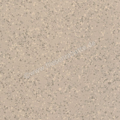 Imola Ceramica Parade Beige B 60x60 cm Bodenfliese / Wandfliese Matt Eben Naturale PRDE 60B RM | 446781