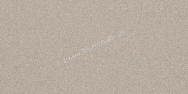 Imola Ceramica Parade Silver AG 60x120 cm Bodenfliese / Wandfliese Uni Matt Eben Naturale PRTU 12AG RM | 447123