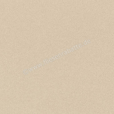 Imola Ceramica Parade Almond A 60x60 cm Bodenfliese / Wandfliese Uni Glänzend Eben Levigato PRTU 60A LV | 447180