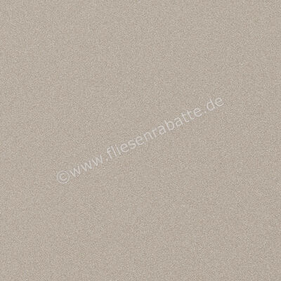 Imola Ceramica Parade Silver AG 60x60 cm Bodenfliese / Wandfliese Uni Matt Eben Naturale PRTU 60AG RM | 447189