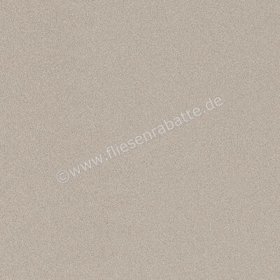 Imola Ceramica Parade Silver AG 60x60 cm Bodenfliese / Wandfliese Uni Matt Eben Naturale PRTU 60AG RM | 447192