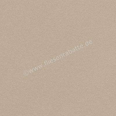 Imola Ceramica Parade Beige B 60x60 cm Bodenfliese / Wandfliese Uni Glänzend Eben Levigato PRTU 60B LV | 447201