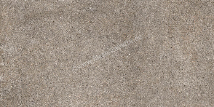 Imola Ceramica Walk Dove Grey TO 30x60 cm Bodenfliese / Wandfliese Matt Eben Naturale WLKR 36TO RM | 447276