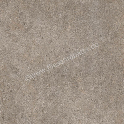 Imola Ceramica Walk Dove Grey TO 60x60 cm Bodenfliese / Wandfliese Matt Eben Naturale WALK 60TO RM | 447297