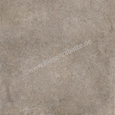 Imola Ceramica Walk Dove Grey TO 60x60 cm Bodenfliese / Wandfliese Matt Eben Naturale WALK 60TO RM | 447300