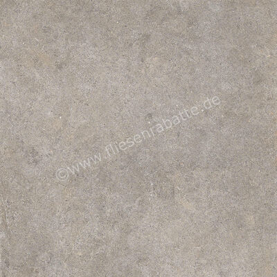 Imola Ceramica Walk Grey G 60x60 cm Bodenfliese / Wandfliese Matt Eben Naturale WALK 60G RM | 447303