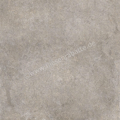 Imola Ceramica Walk Grey G 60x60 cm Bodenfliese / Wandfliese Matt Eben Naturale WALK 60G RM | 447306