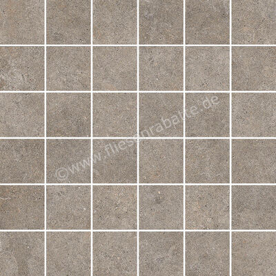 Imola Ceramica Walk Dove Grey TO 30x30 cm Mosaik Matt Eben Naturale MK.WALK 30TO | 447348