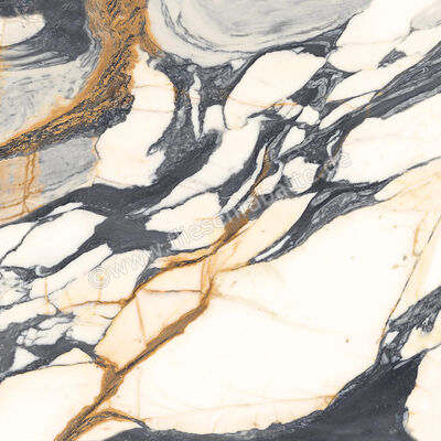  Imola Ceramica The Room Calacatta Picasso 120x120 cm Bodenfliese / Wandfliese Stärke: 6,5 mm Matt Eben Naturale CAL PI6 120 RM (191955) | 449688