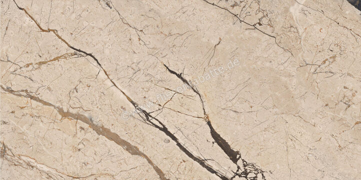 Imola Ceramica The Room Breccia Phoenix 60x120 cm Bodenfliese / Wandfliese Stärke: 6,5 mm Matt Glänzend Eben Lappato Honed BRE PH6 12 LPM | 450114