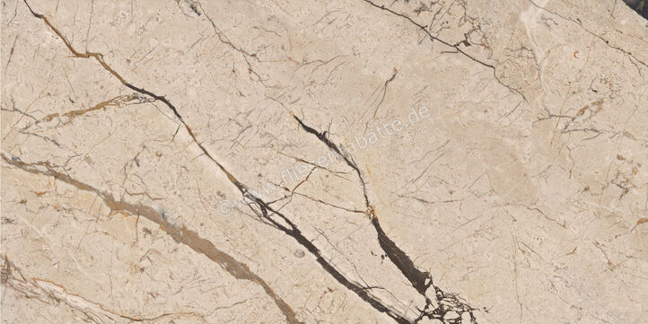  Imola Ceramica The Room Breccia Phoenix 60x120 cm Bodenfliese / Wandfliese Stärke: 6,5 mm Glänzend Eben Lappato BRE PH6 12 LP (186857) | 450138