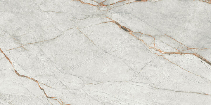  Imola Ceramica The Room Grey Roots 60x120 cm Bodenfliese / Wandfliese Stärke: 6,5 mm Glänzend Eben Lappato GRE RO6 12 LP (177343) | 450189