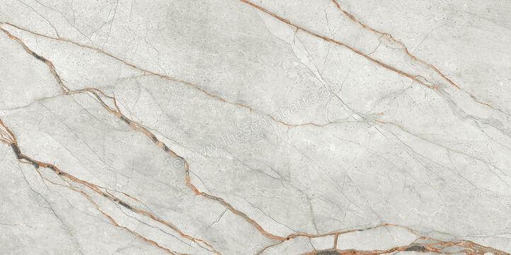  Imola Ceramica The Room Grey Roots 60x120 cm Bodenfliese / Wandfliese Stärke: 6,5 mm Glänzend Eben Lappato GRE RO6 12 LP (177343) | 450192