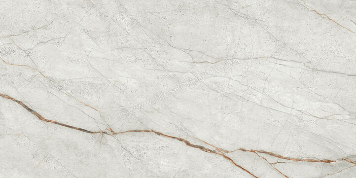  Imola Ceramica The Room Grey Roots 60x120 cm Bodenfliese / Wandfliese Stärke: 6,5 mm Glänzend Eben Lappato GRE RO6 12 LP (177343) | 450198