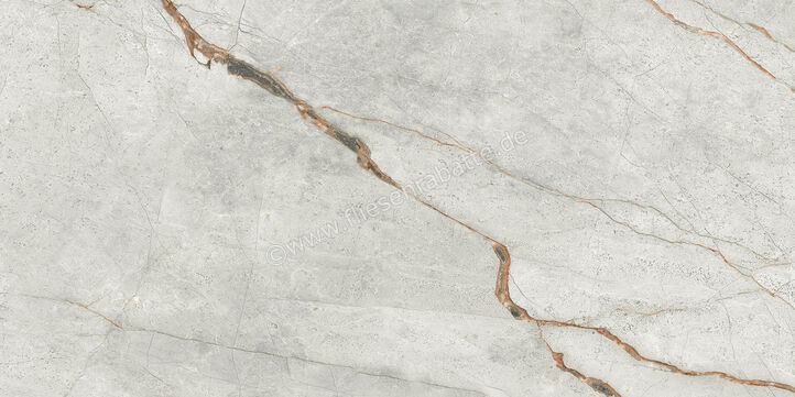 Imola Ceramica The Room Grey Roots 60x120 cm Bodenfliese / Wandfliese Stärke: 6,5 mm Matt Eben Naturale GRE RO6 12 RM | 450207